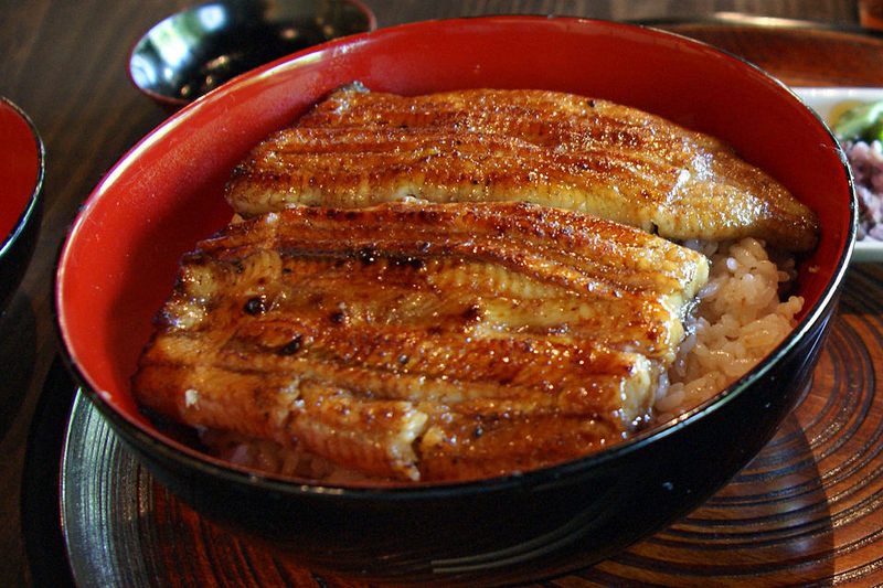 Unagi premium