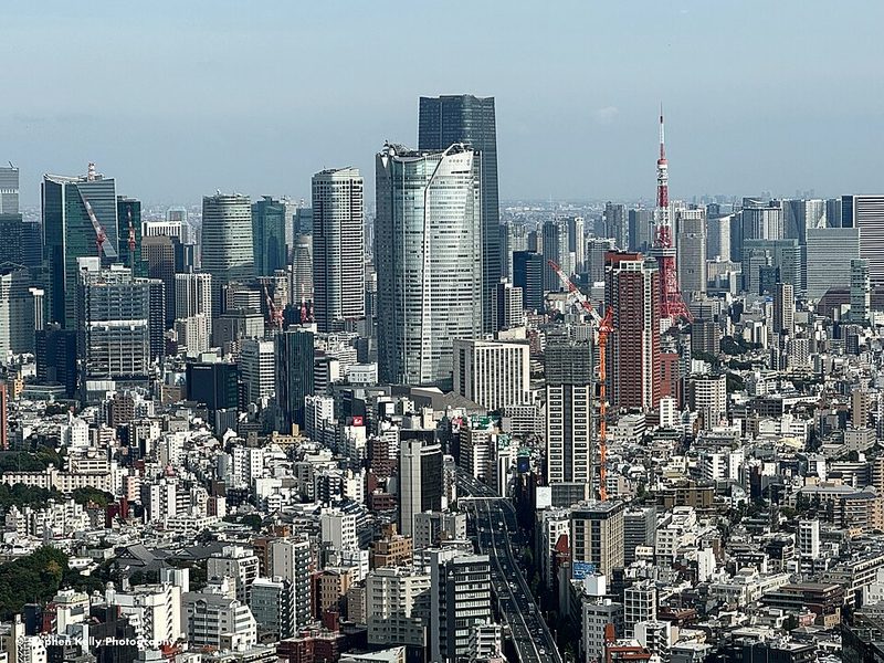Shibuya Sky